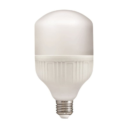 Лампа светодиодная LED E27, Т100, 30Вт, 230В, 6500К, хол. дневной свет